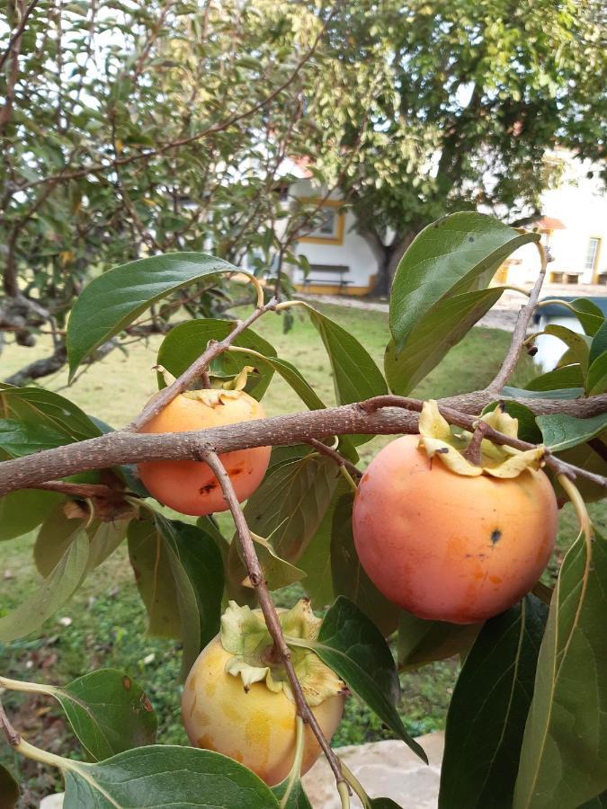 Sobral de Monte Agraço Quintal Do Freixo - Country House מראה חיצוני תמונה