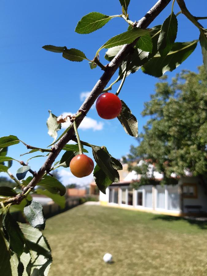 Sobral de Monte Agraço Quintal Do Freixo - Country House מראה חיצוני תמונה