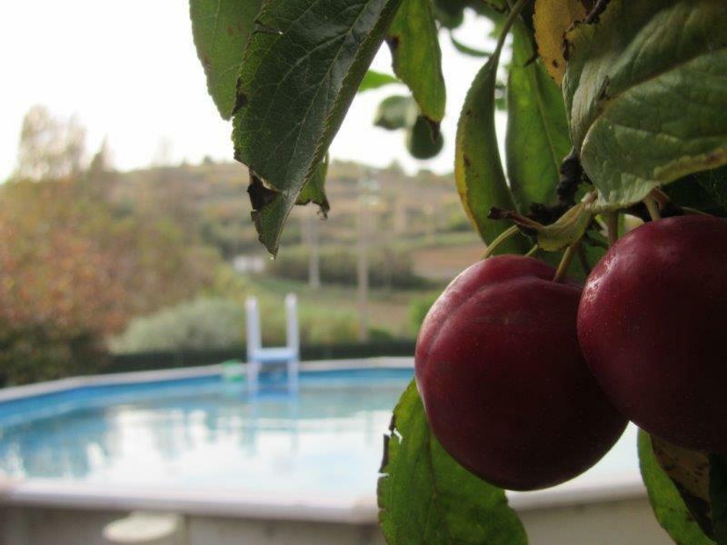 Sobral de Monte Agraço Quintal Do Freixo - Country House מראה חיצוני תמונה